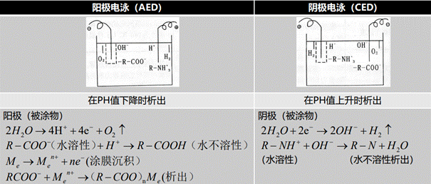 descript